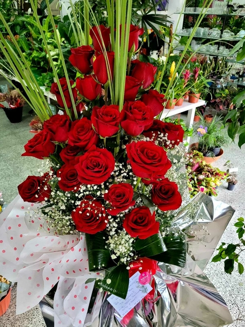 Premium Rose 25 rosas en base de esponja vegetal