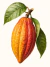 Barra de Chocolate 80% Coopercabruca 80g - comprar online