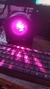 Fixture de Freestyler P/ Mystic Led de GBR en internet