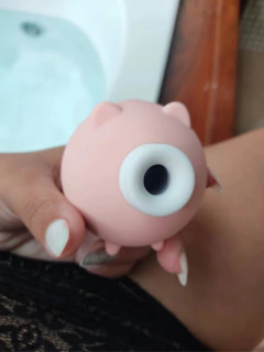 Porquinho Sugador De Clitoris com 10 Modos de Pulsação Recarregável na internet