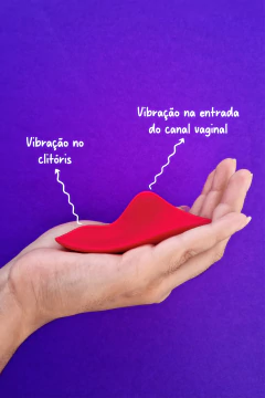 Cupido Vibrador de Calcinha com Imã via App Mundial na internet