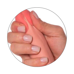 Prótese Bred Realística 17X4 cm Upper