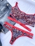 Conjunto Onça