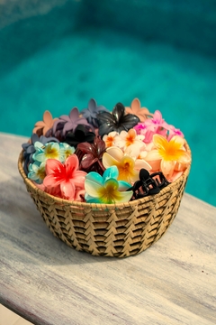 Broches hibiscus - comprar online