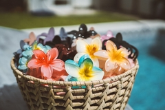 Broches hibiscus en internet