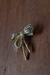 Broche laço