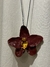 Colar orquídea roxa biscuit na internet