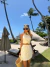 Conjunto Bahamas Off white - loja online