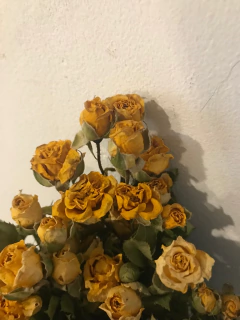 mini rosas disecadas - comprar online