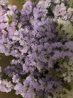 Statice Violeta - Artesanías El Altillo