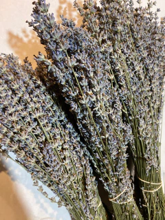 Lavanda - comprar online