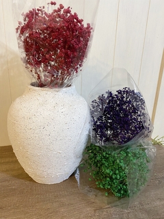 Gypsophila Teñida