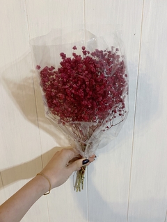 Gypsophila Teñida - comprar online