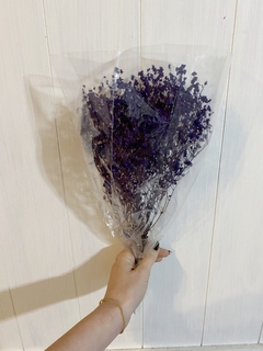 Gypsophila Teñida en internet
