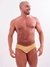 Sunga Golden Sand na internet