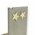 Brinco Banhado Dourado - Estrela trabalhada com borda