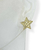Brinco Banhado Dourado - Estrela trabalhada com borda - comprar online