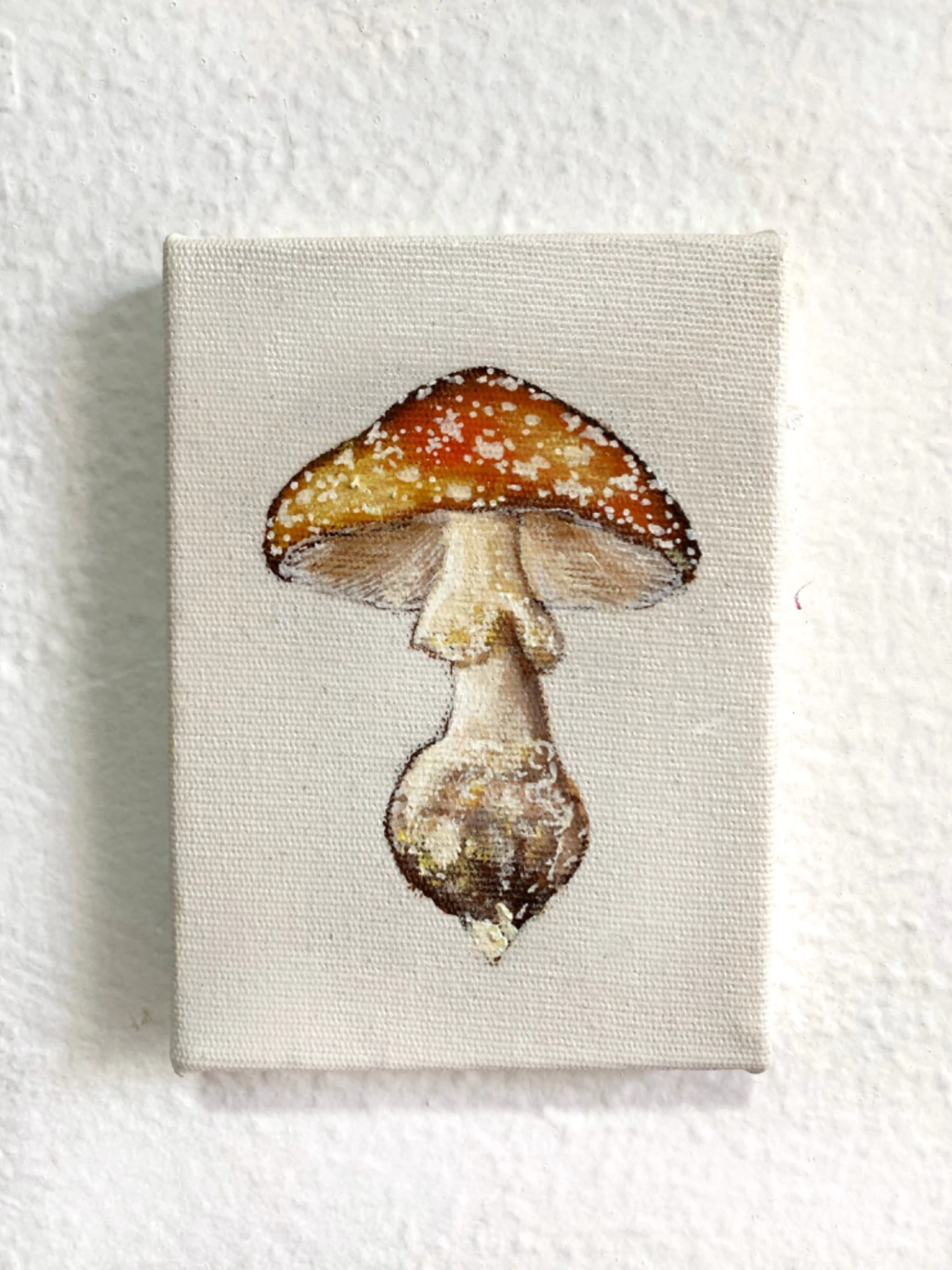 Amanita - coleção quadrinhos