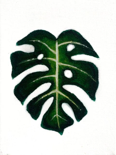 Costela de Adão - coleção quadrinhos - comprar online