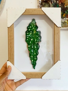 Quadro Escultura Begonia Maculata