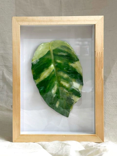 Quadro Escultura Jiboia - Luiza Vergilio Co.