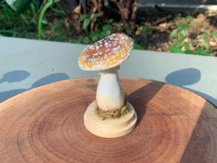 Peça decorativa Cogumelo Amanita spissa | Peça Unica na internet