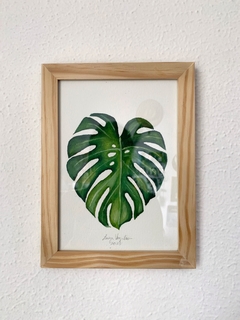 Quadro Costela de Adão