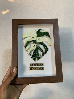 Quadro Escultura monstera em moldura caixa (Sob Encomenda) - comprar online