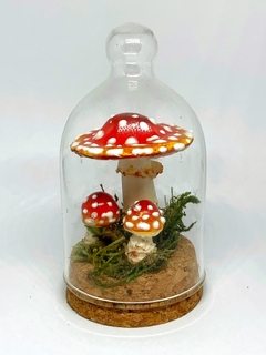 mini Redoma cogumelos