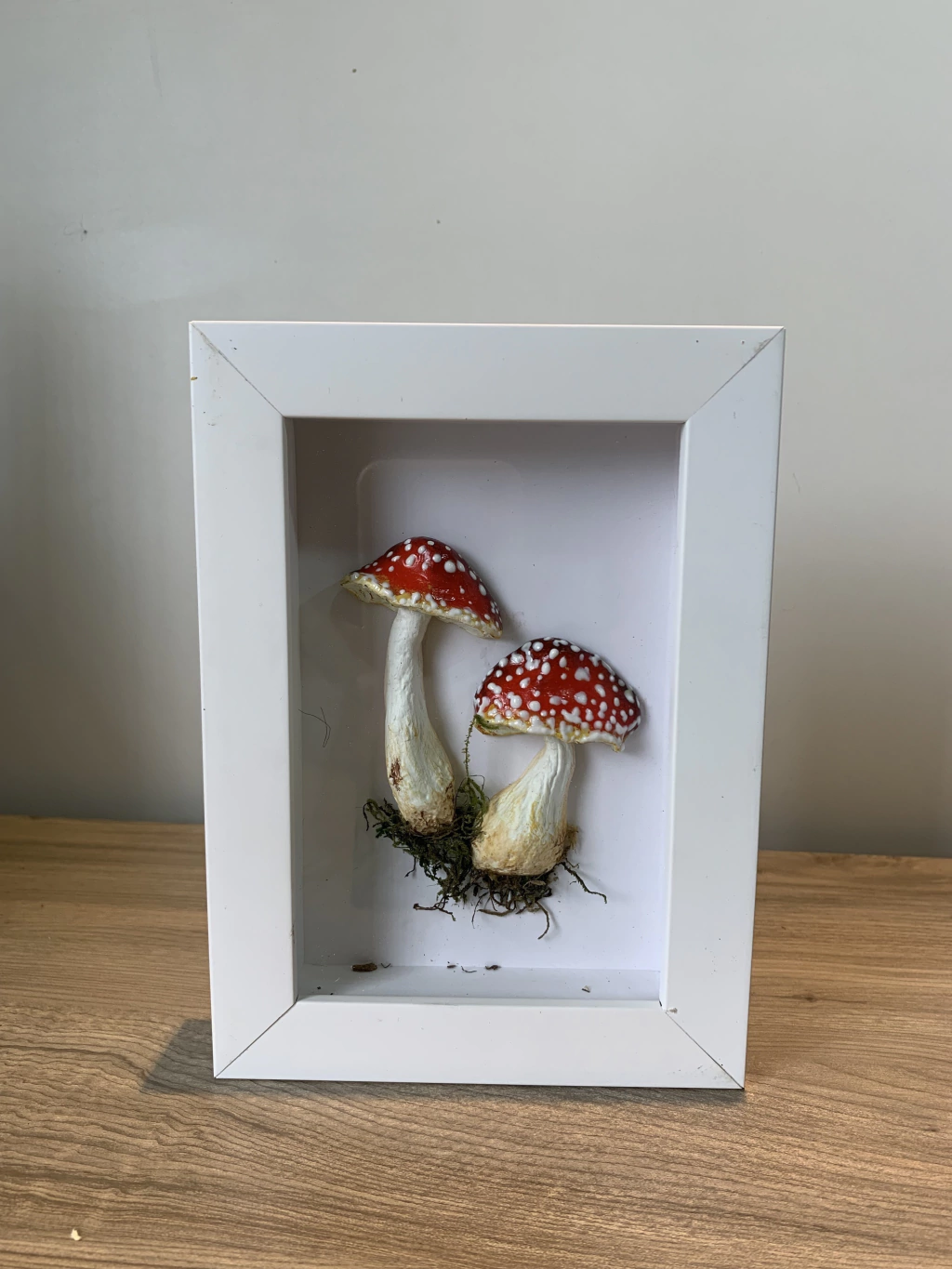 Quadro Escultura Cogumelos II em moldura caixa