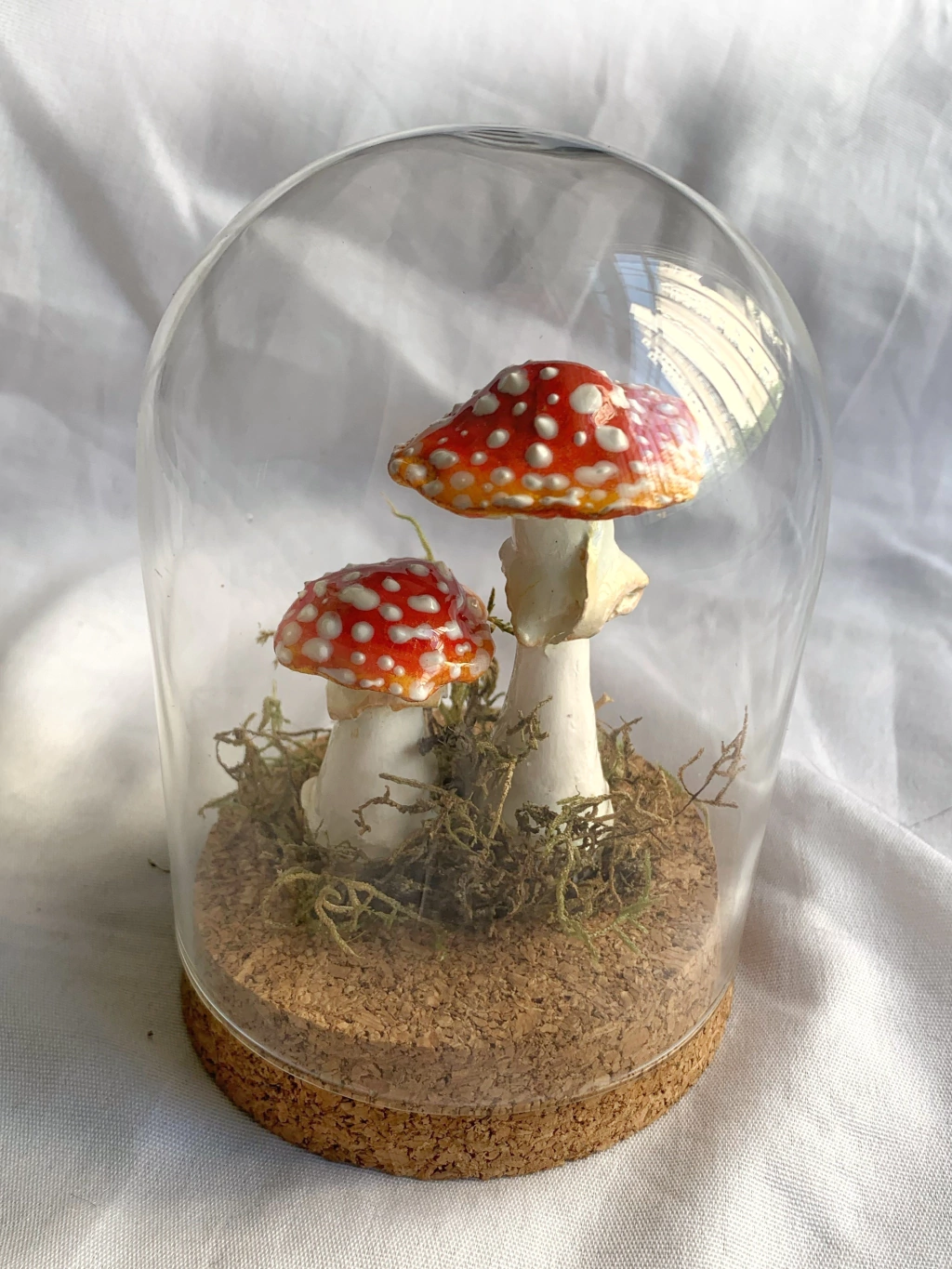 Redoma cogumelos Amanita muscaria