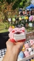 Kirby Porta treco