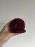 Mini Polvo (Várias cores!) - Jiji's Craft
