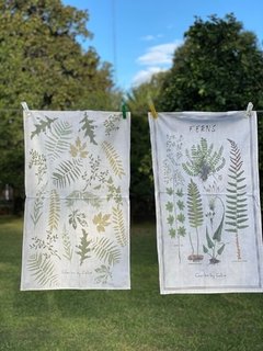 Repasador "Ferns" o “helechos “ en internet