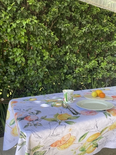 Mantel Impermeable Limones