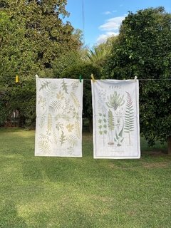Repasador "Ferns" o “helechos “
