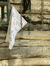 Banner de Charles By Celine
