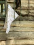 Banner de Charles By Celine