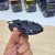Lamborghini Veneno - Preta - comprar online