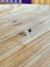PIERCING PINO ESTRELA