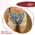 MATERIAL P/ 6 CUECA MEET