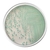 Agar Cromogênico Tbx Frasco 500g - Kasvi - comprar online