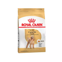 Royal Canin Caniche Poodle Adulto