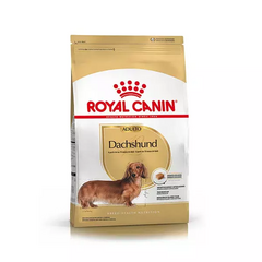 Royal Canin Salchicha (Dachshund) Adulto 3kg