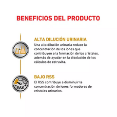 Royal Canin Urinary S/O Gato - comprar online