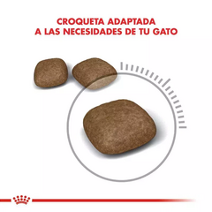 Royal Canin Urinary Care Gato en internet