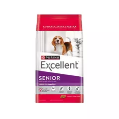 Excellent Senior Perro