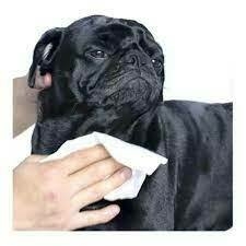 Toallitas Humedas Aloe Vera X 70 Unidades - Master Pet - comprar online