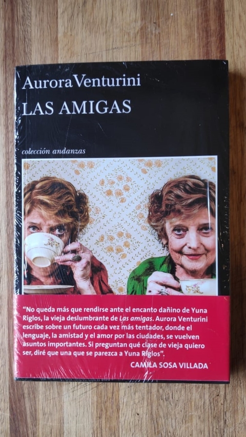 Las amigas - Aurora Venturini