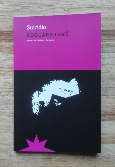 Suicidio - Édouard Levé